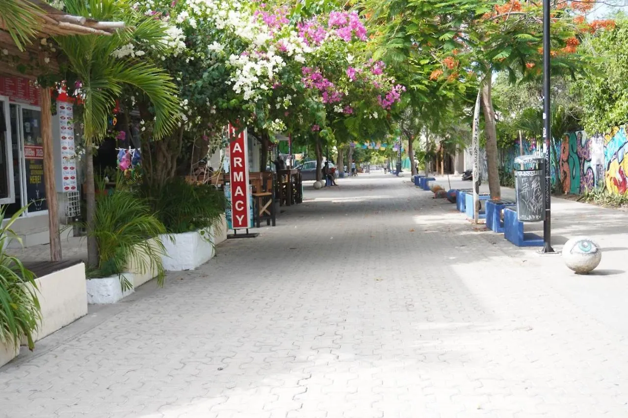 Moonligth 5Ta Av Apartment Playa del Carmen Mexico