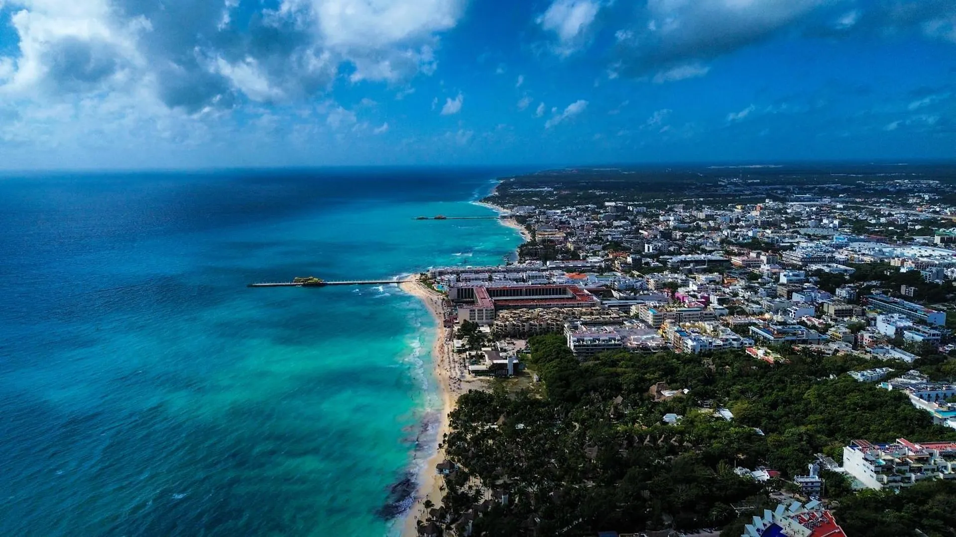 Moonligth 5Ta Av Appartement Playa del Carmen